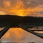Villa Herdade D'amoreira Alecrim
