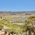Herdade D'amoreira Alecrim Villa *