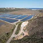 Herdade D'amoreira Alecrim