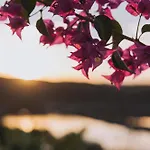 Herdade D'amoreira Alecrim Βίλα Aljezur