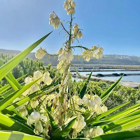 וילה Herdade D'amoreira Alecrim אלג'זור