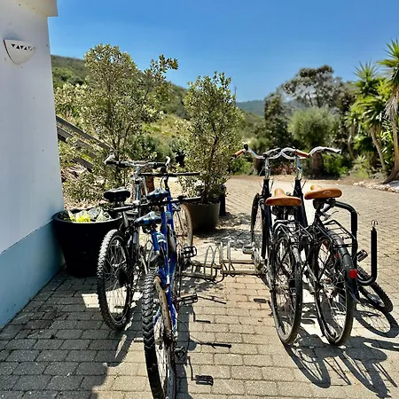 Herdade D'amoreira Alecrim *