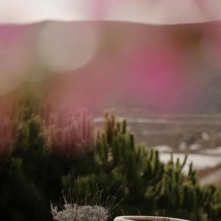 Herdade D'amoreira Alecrim Aljezur