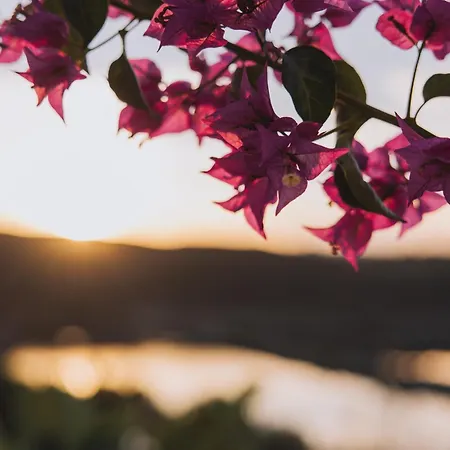 Herdade D'amoreira Alecrim Villa Aljezur