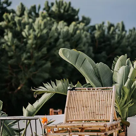 Villa Herdade D'amoreira Alecrim *