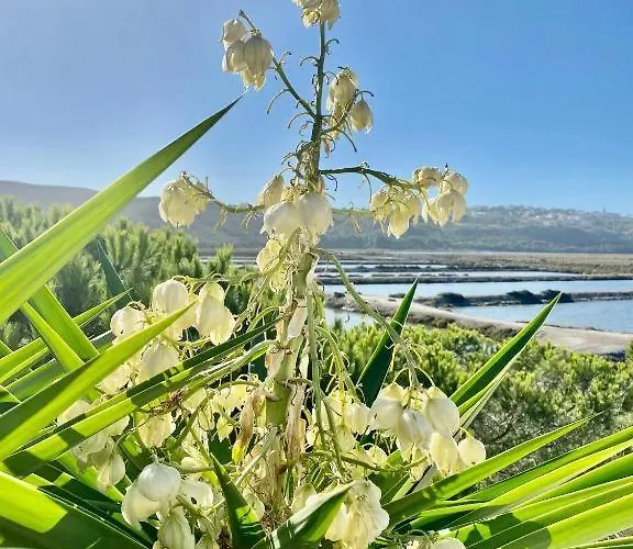 빌라 Herdade D'amoreira Alecrim 알제주르