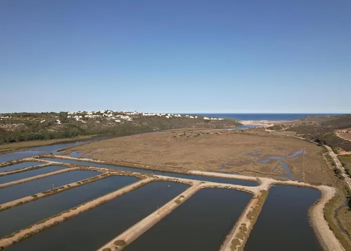 Herdade D'amoreira Alecrim