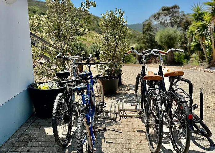 Herdade D'amoreira Alecrim *