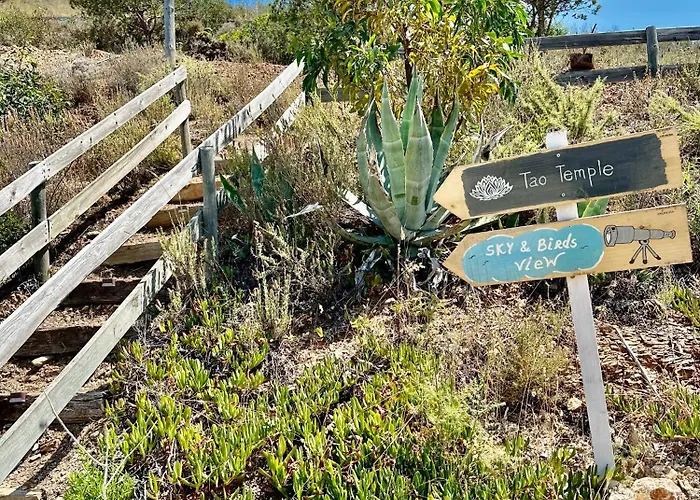 Herdade D'amoreira Alecrim