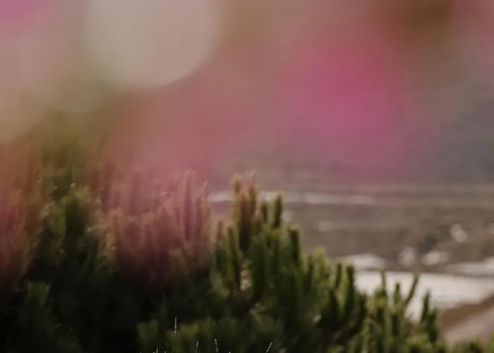 Herdade D'amoreira Alecrim 알제주르