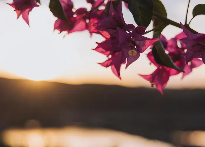 Herdade D'amoreira Alecrim 빌라 알제주르