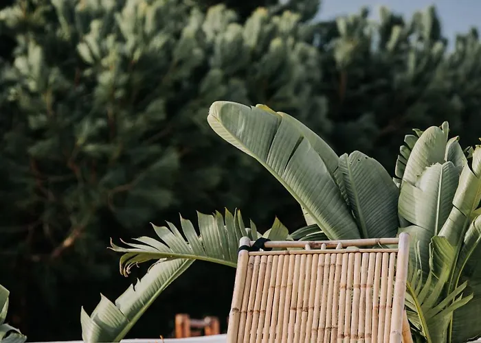 빌라 Herdade D'amoreira Alecrim *