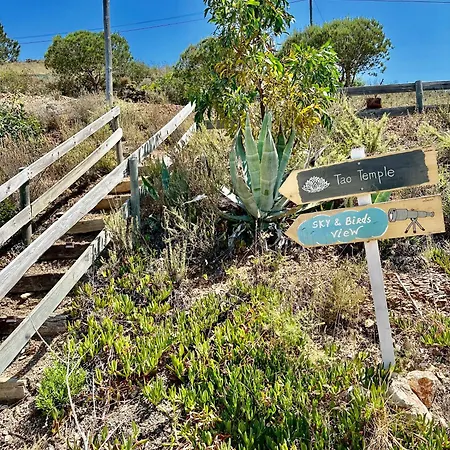 Herdade D'amoreira Alecrim